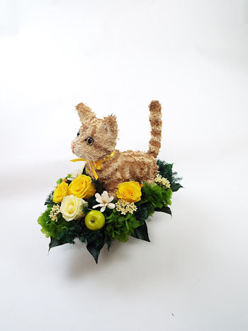 誕生日 猫
