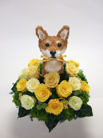 犬好き両親へプレゼント