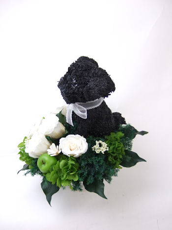 黒パグ 花