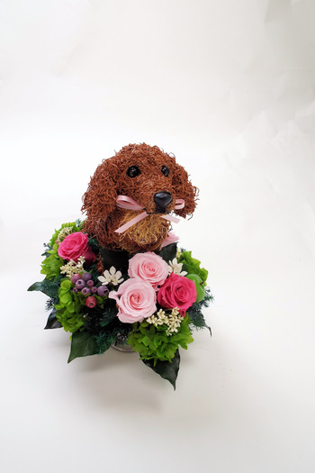 プリザーブドフラワー犬