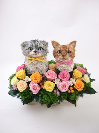 ウェルカムキャット
