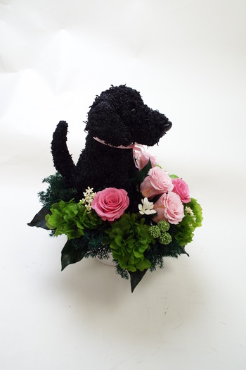 ペットのお供え花