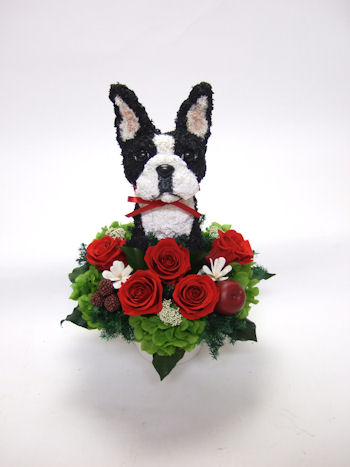 犬好き女性プレゼント