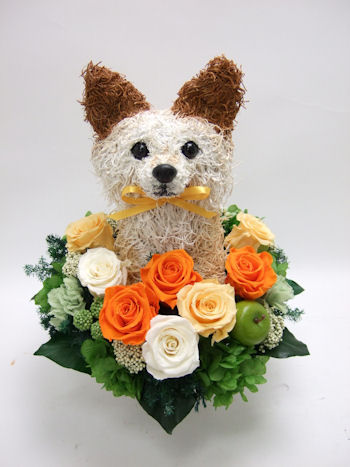 犬の花ギフト誕生日プレゼント
