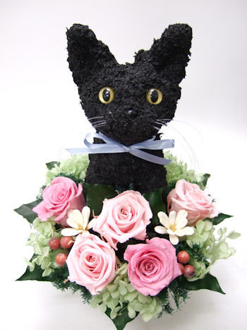 黒猫のお悔やみ花