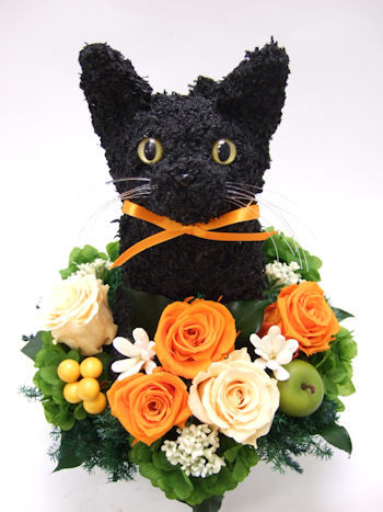 黒猫の花アレンジ