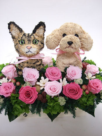 動物病院開院祝い　犬と猫
