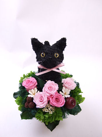 黒猫　誕生日プレゼント