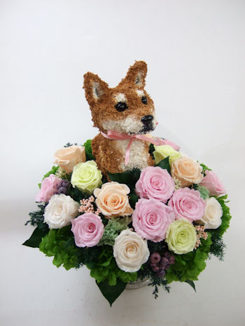 柴犬　結婚式　プレゼント