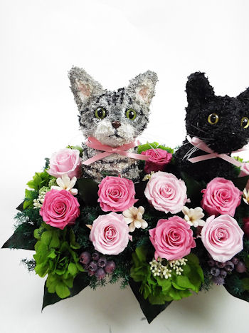 結婚式　ウェルカムドール猫
