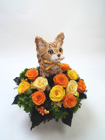 動物病院開院祝い　猫花