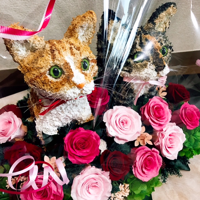 猫花
