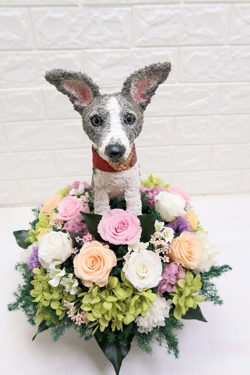 ウィペット　お供え花犬