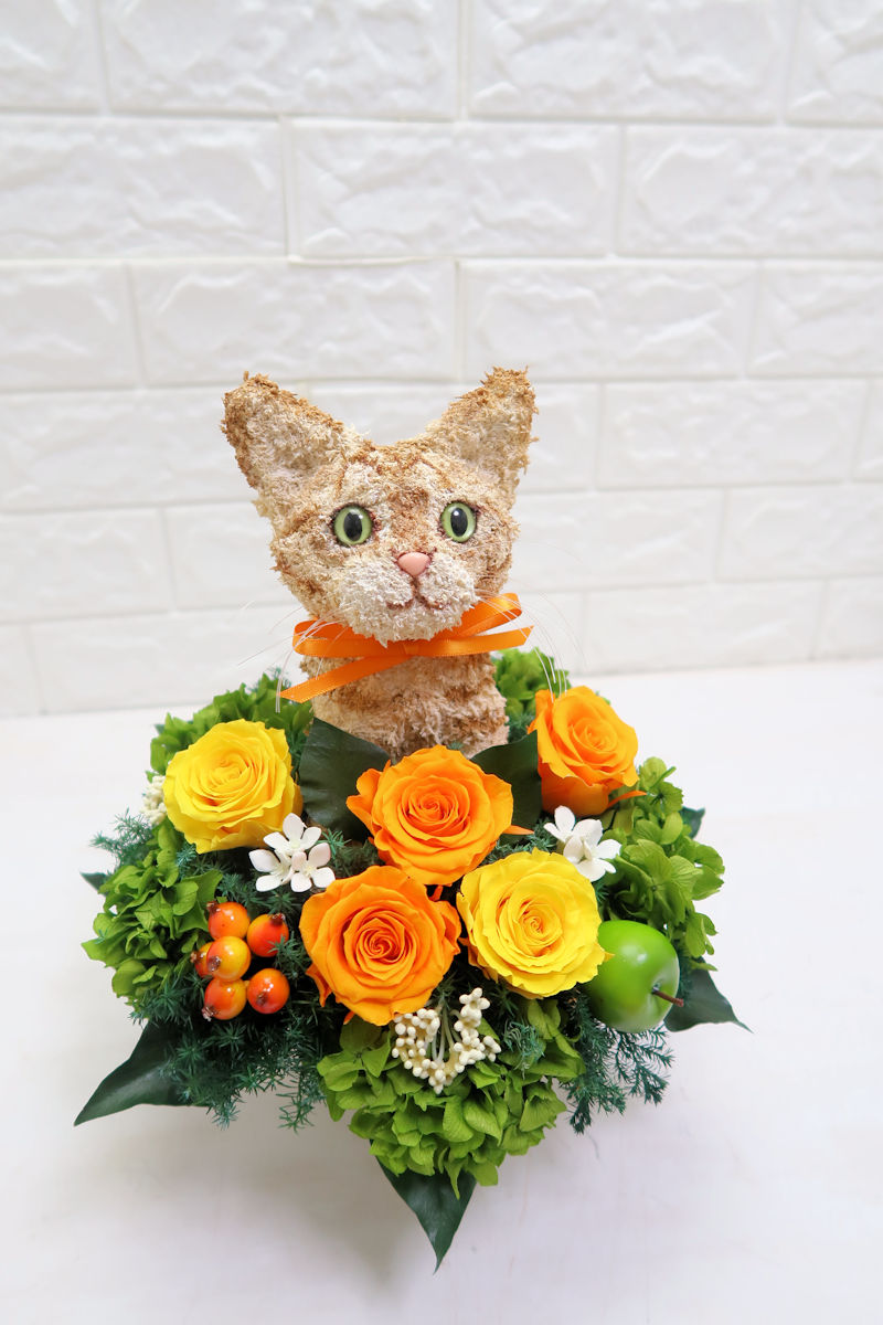 動物病院開院祝い　猫花