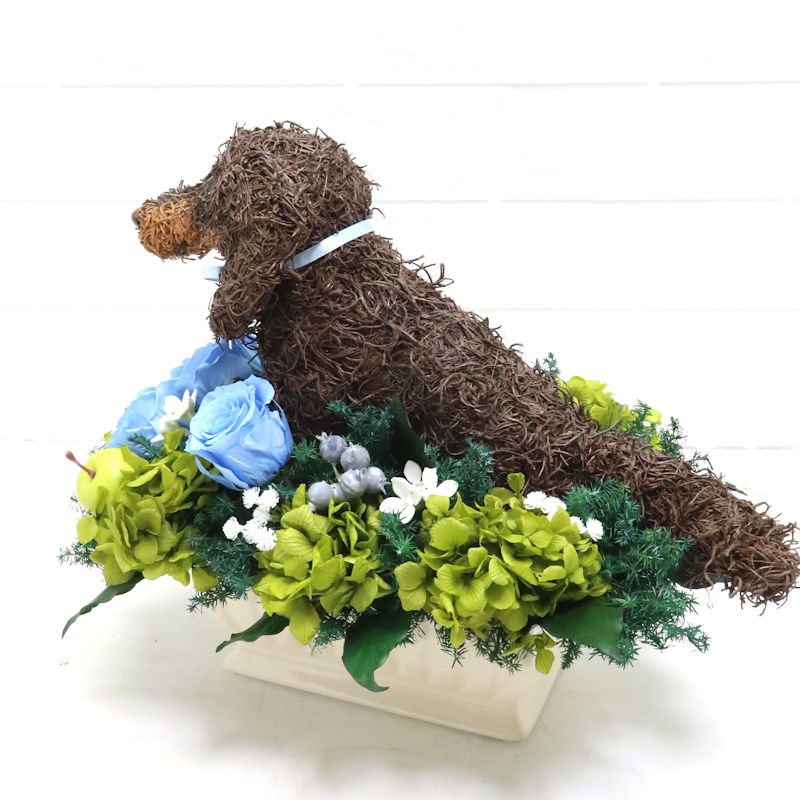 犬花
