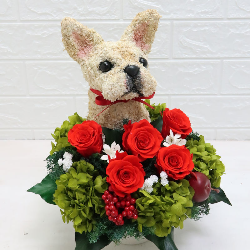 犬花