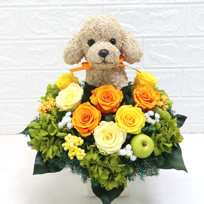 動物病院開院祝い 花