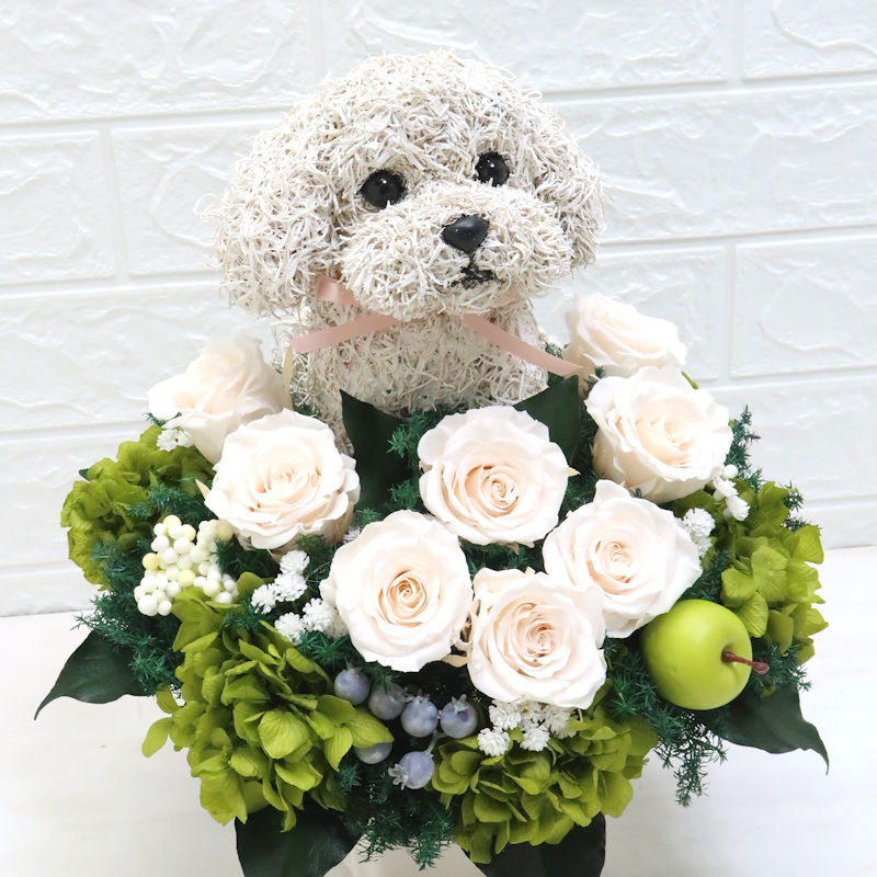 動物病院開院祝い 犬 花