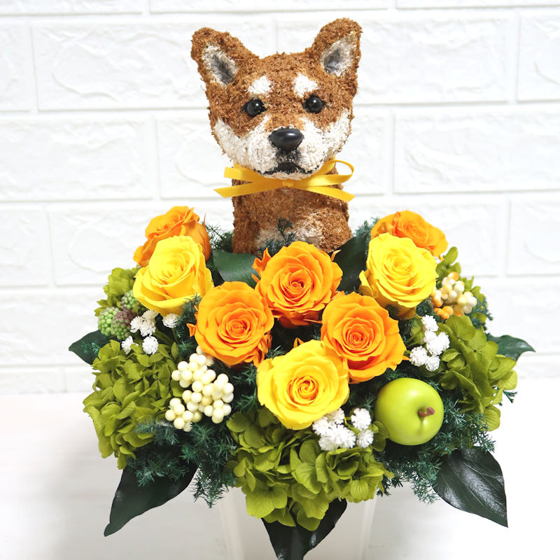 柴犬グッズ プレゼント