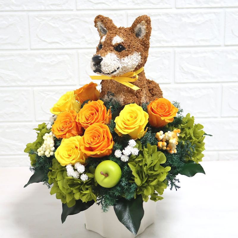 犬花