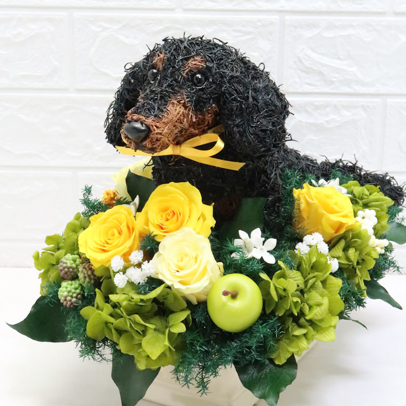 ダックス　花
