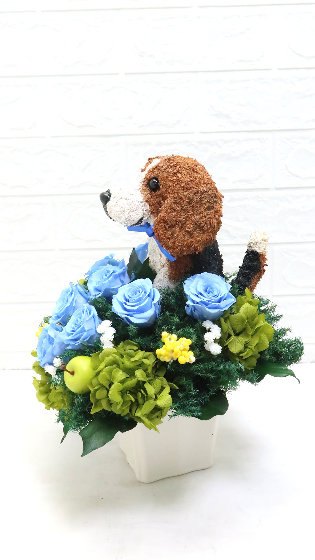 犬花