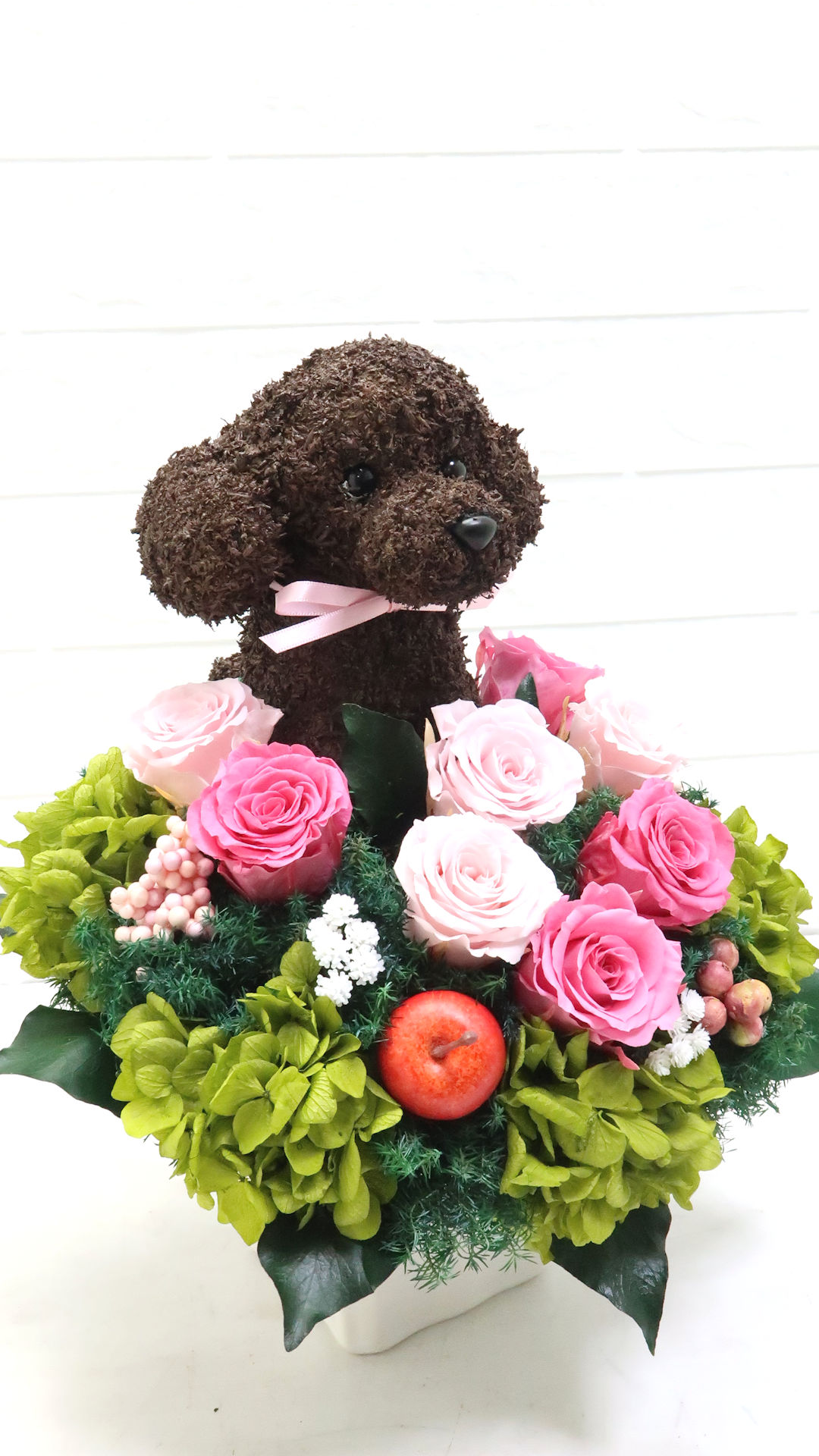 犬花