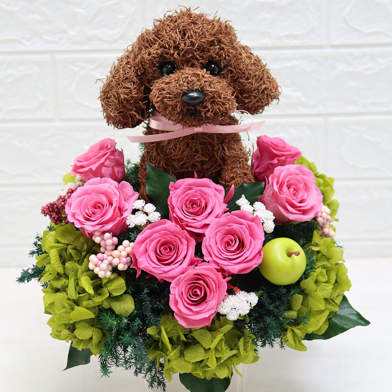 犬花