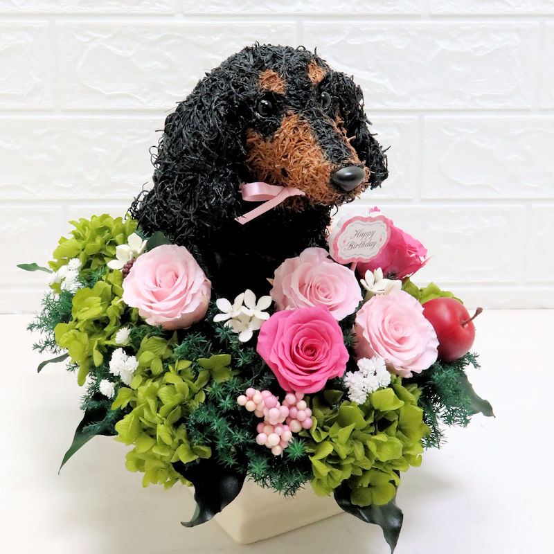 犬花