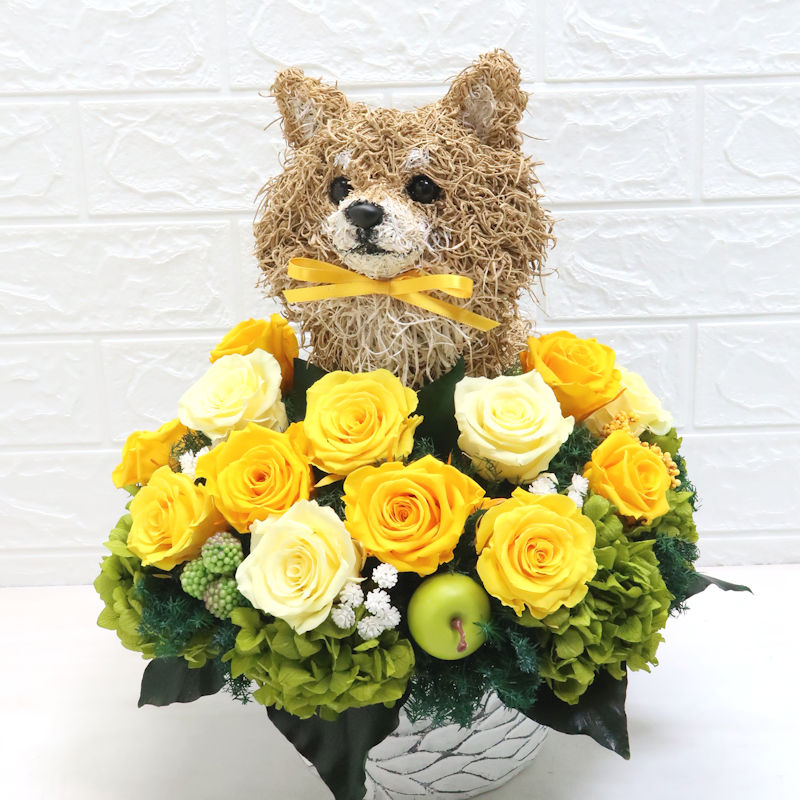 犬花