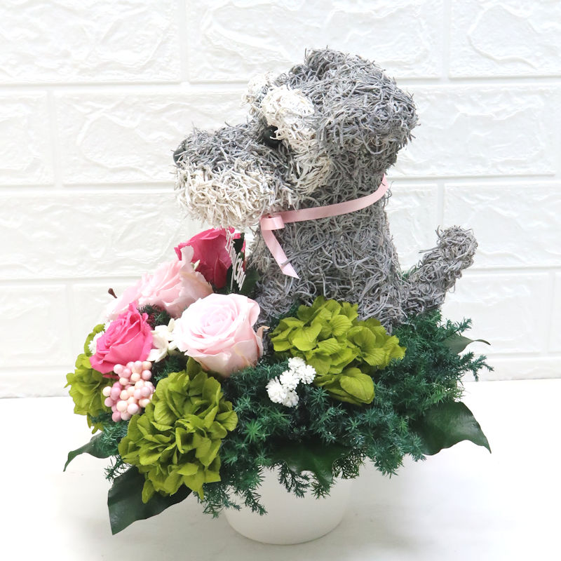 犬花
