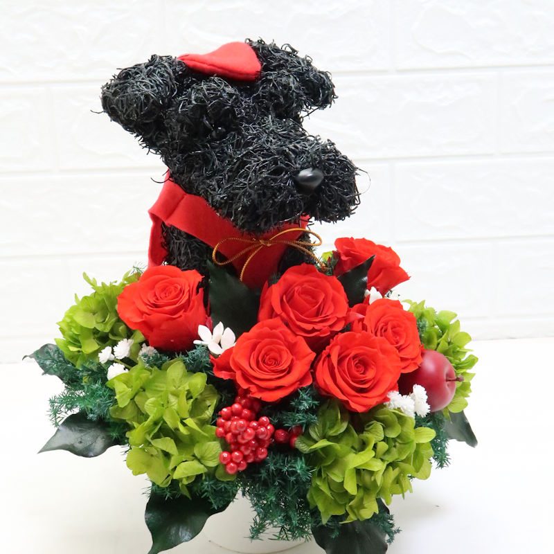 犬花