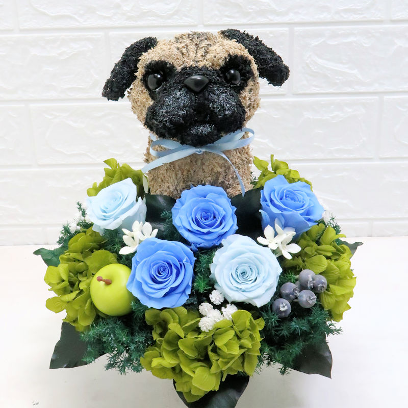 パグ犬グッズ