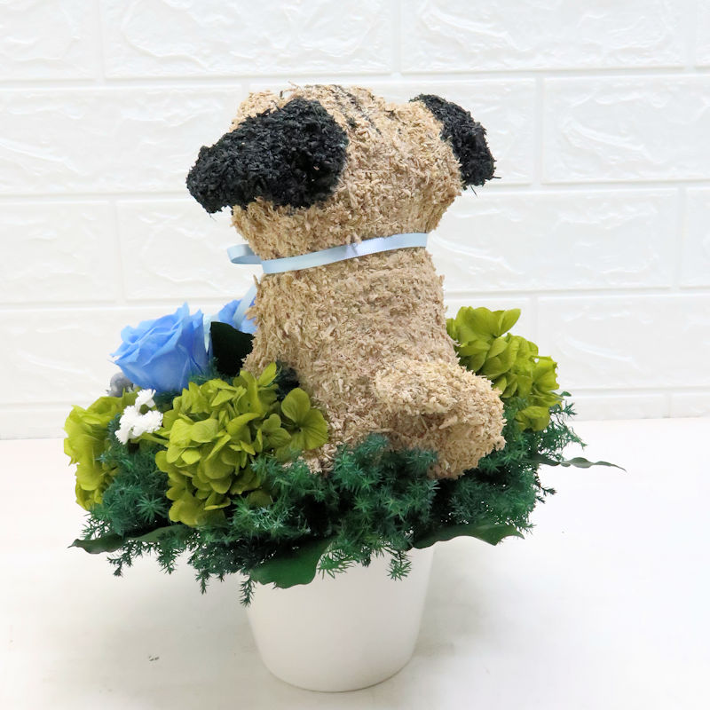 パグ犬花
