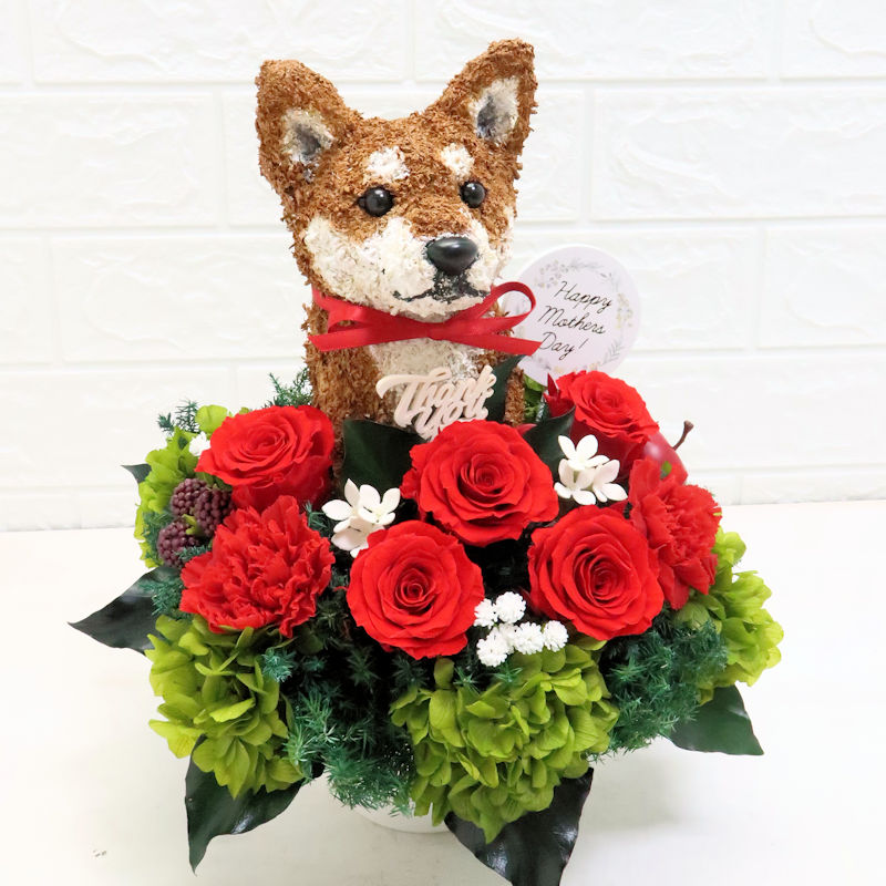 母の日 柴犬