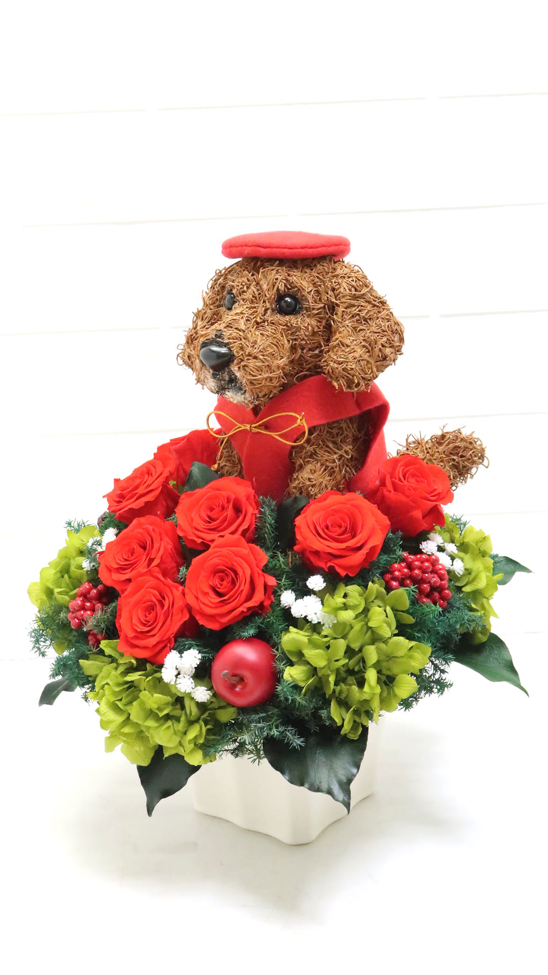 犬花