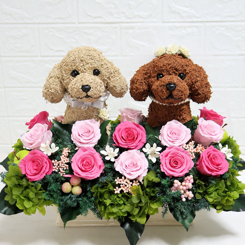 結婚祝い　トイプードル