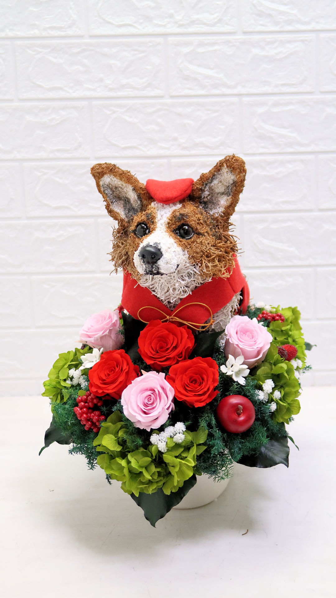 犬花