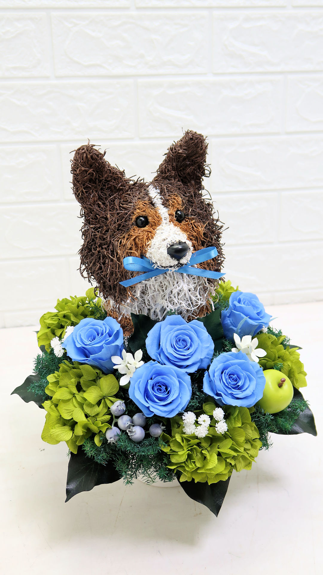 犬花