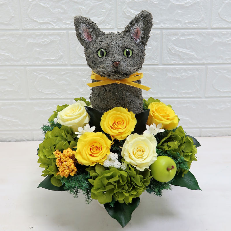 開店祝い　猫