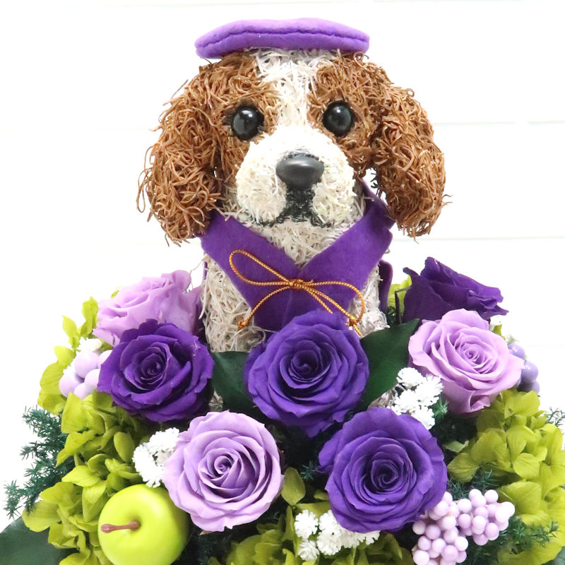 犬花