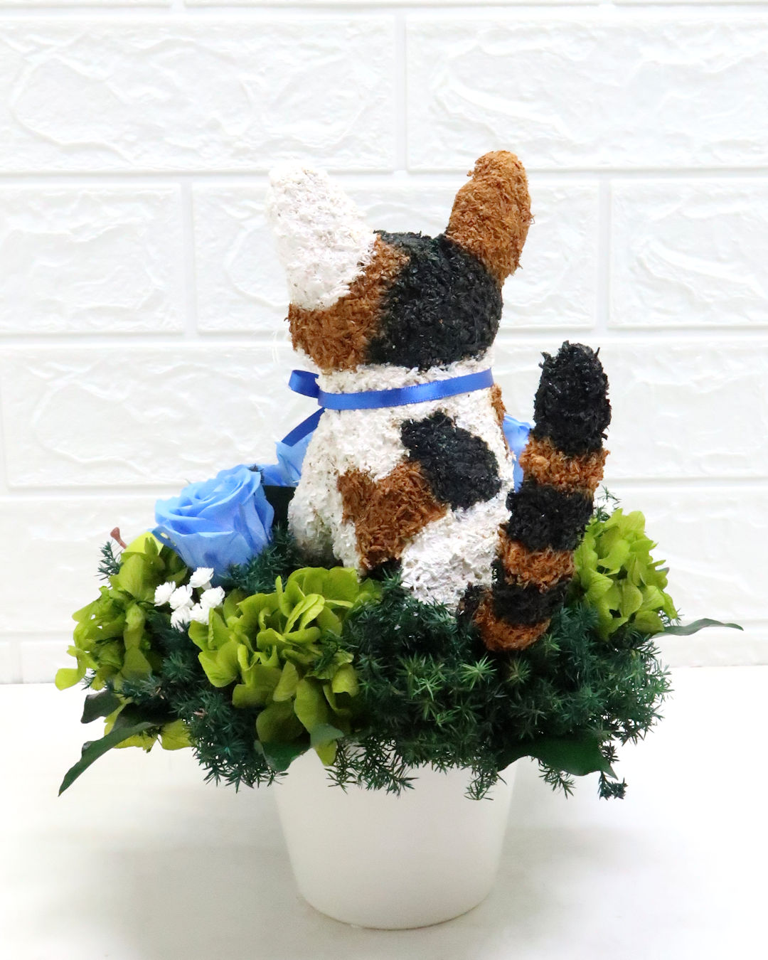 三毛猫　花