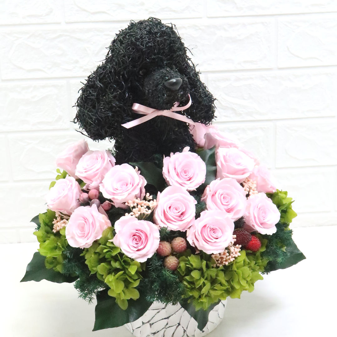 犬花