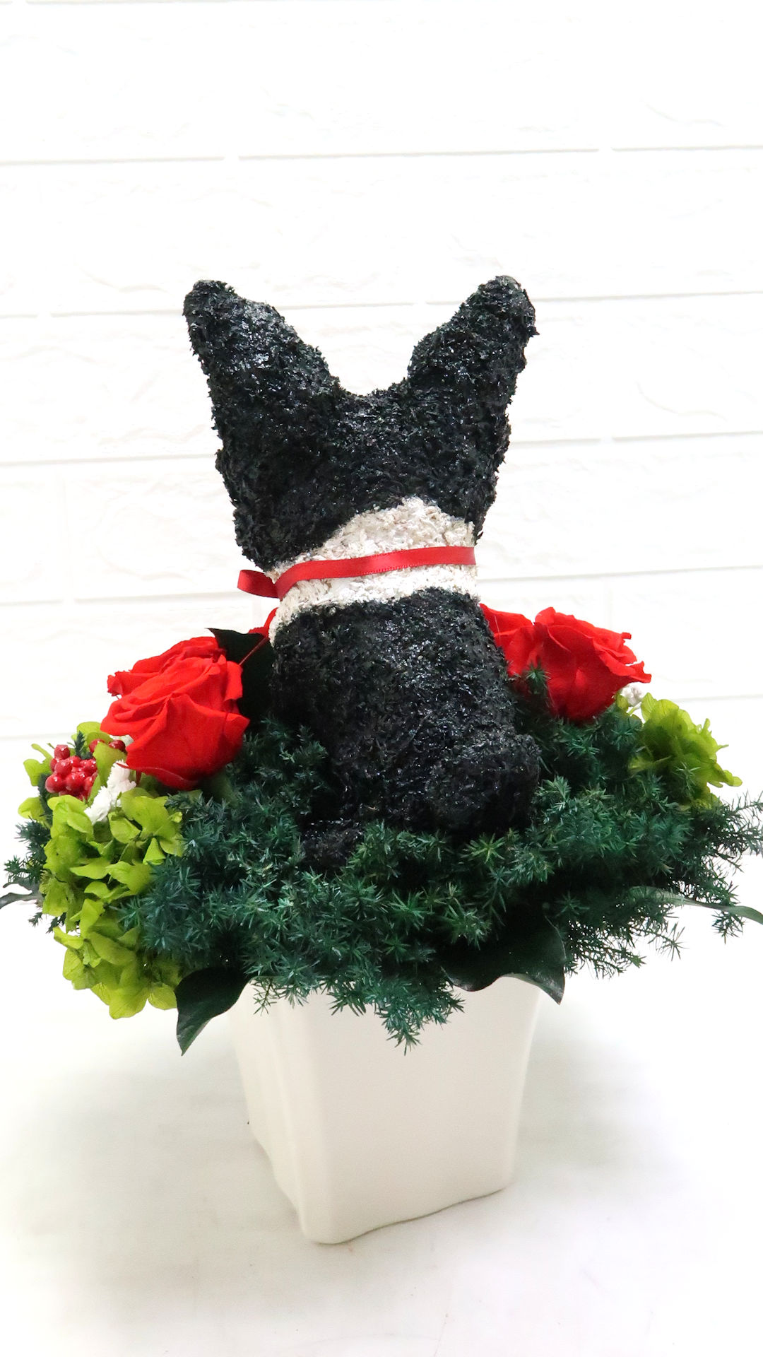 犬花