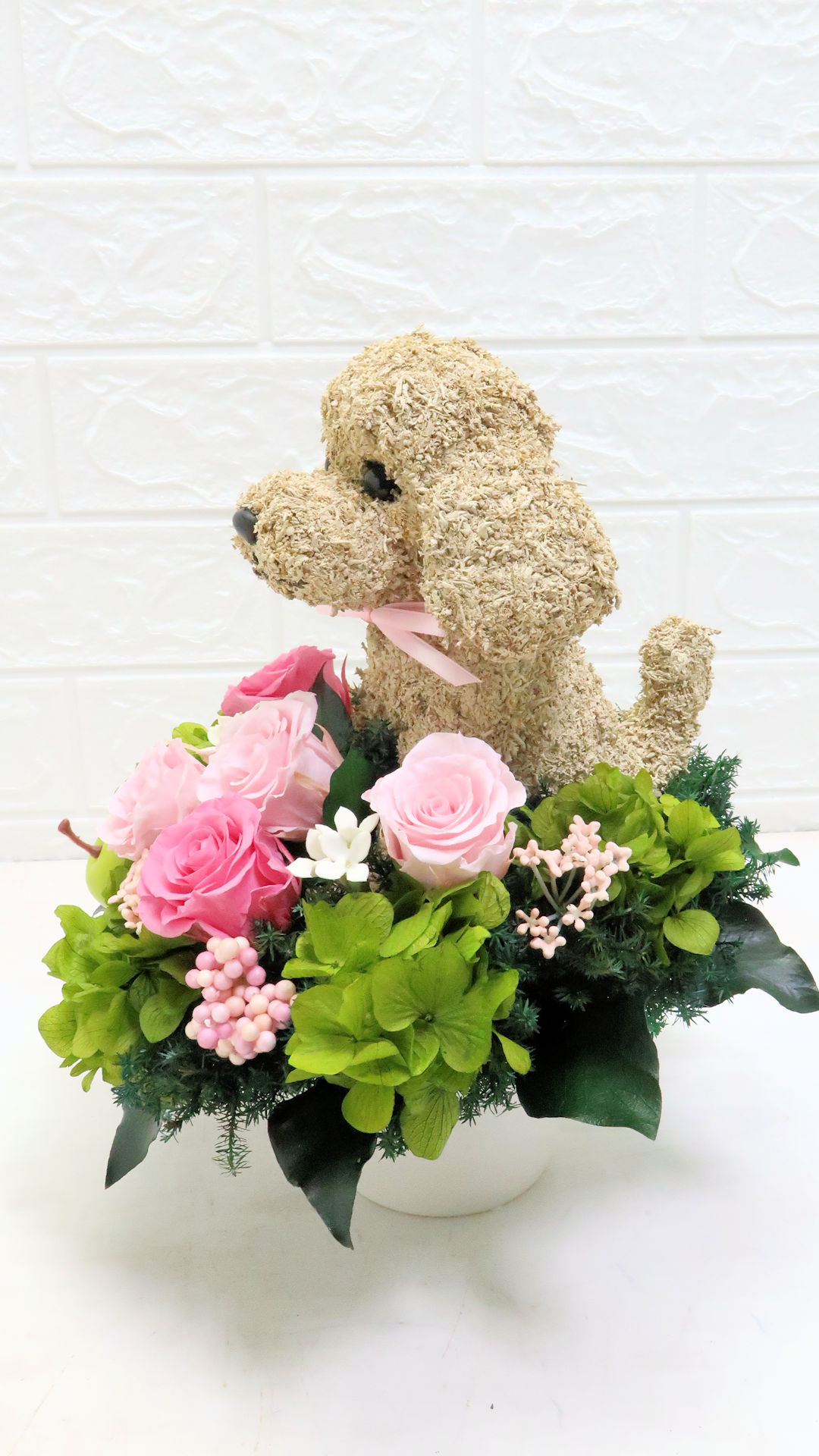 犬花