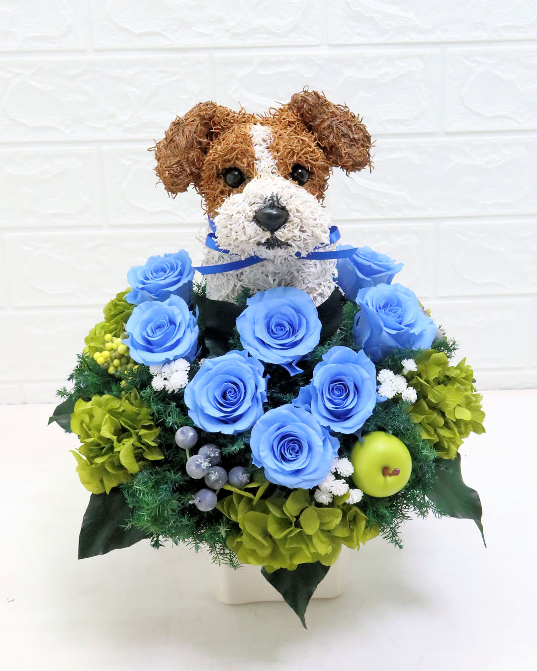 犬花