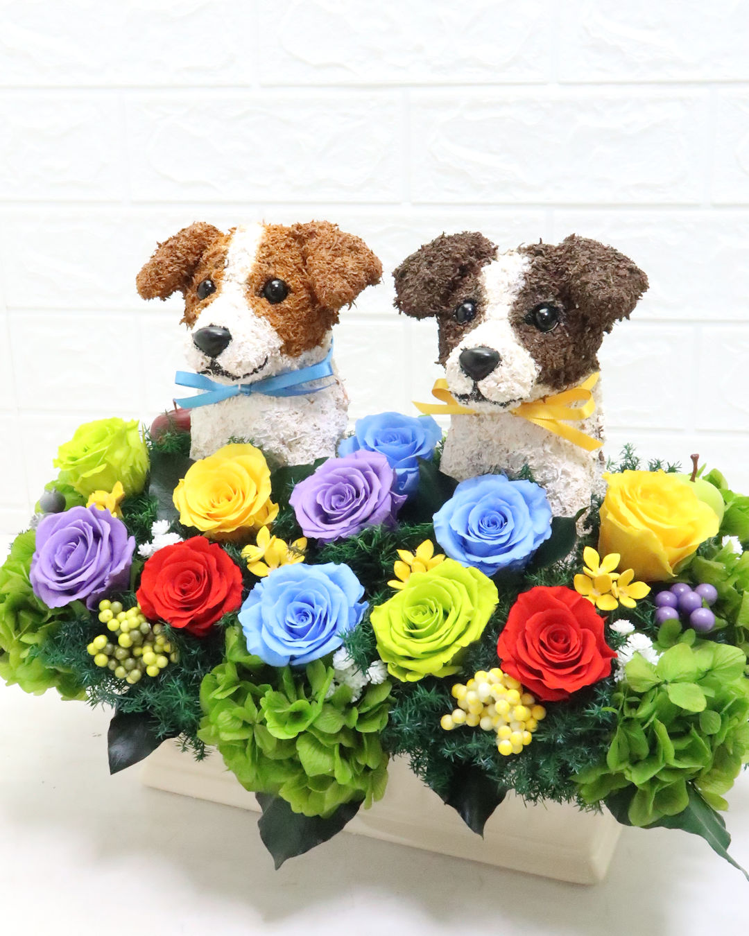犬花