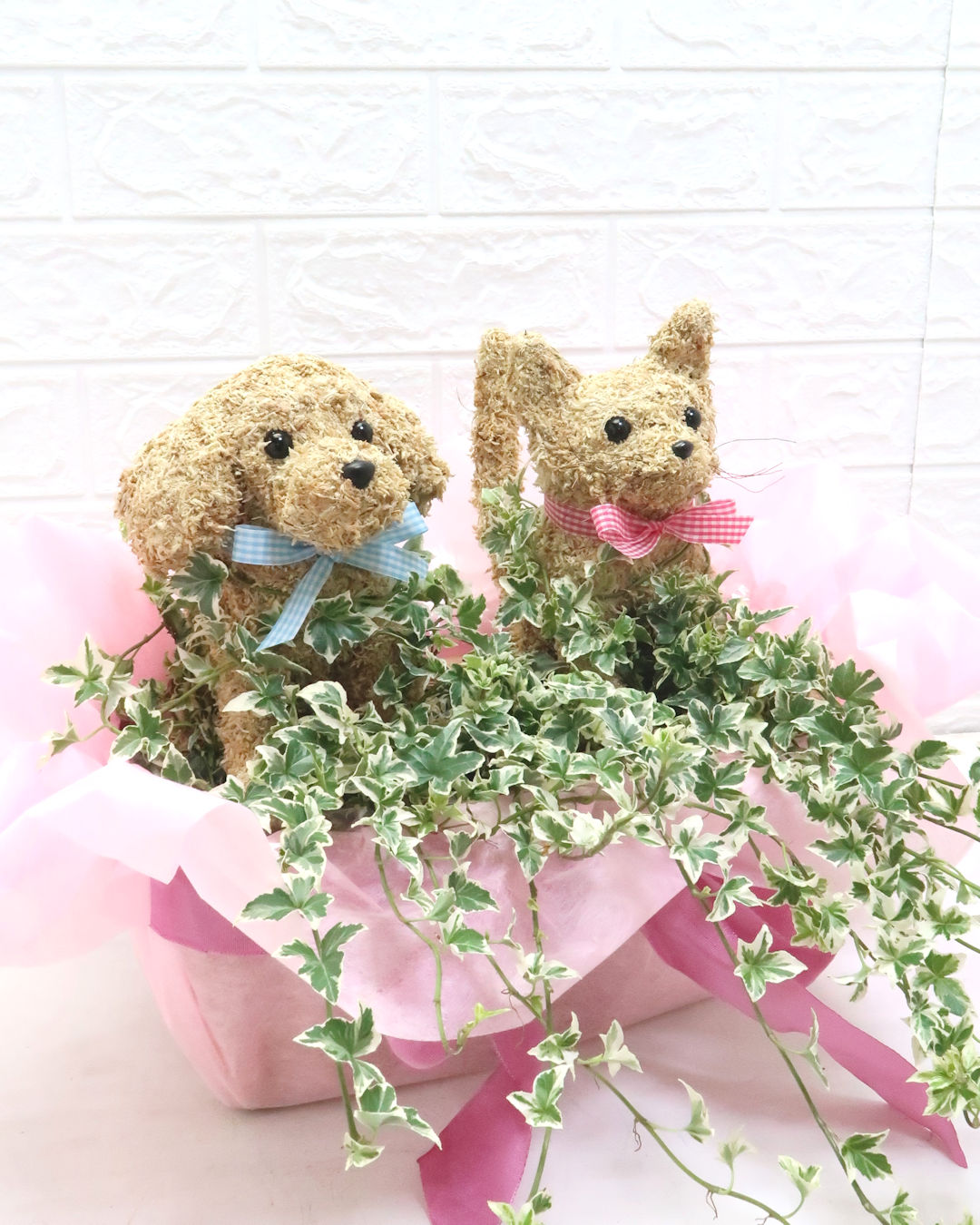動物病院開院祝い　花