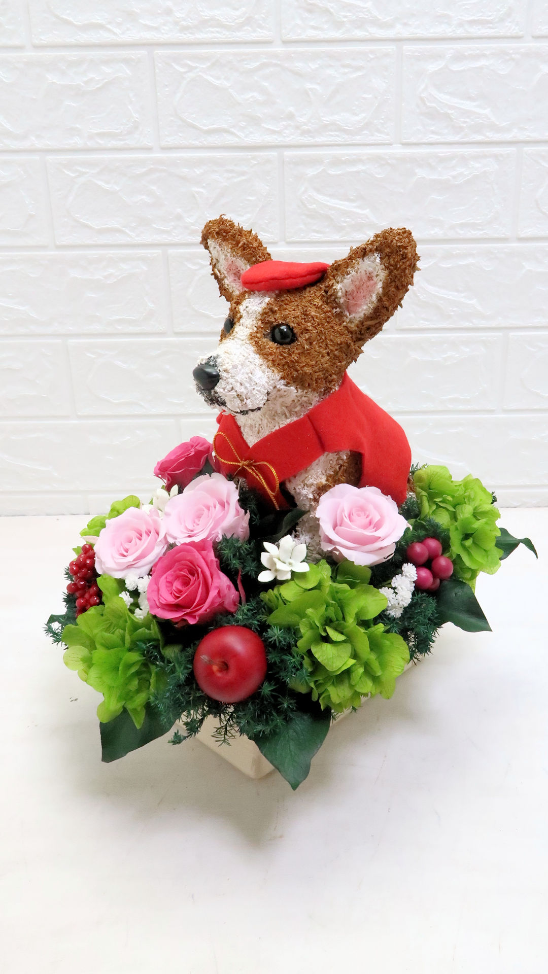 犬花