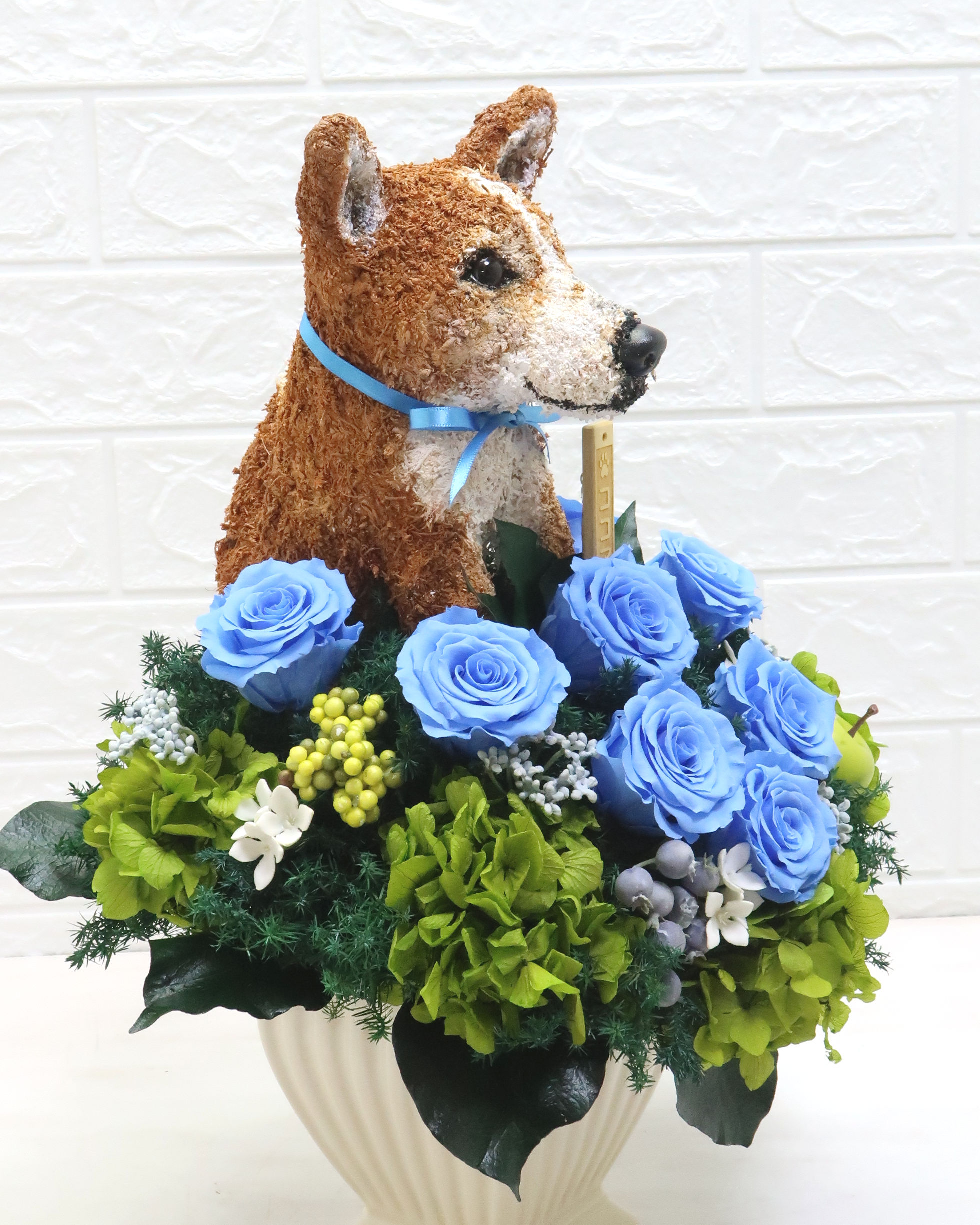 花　犬